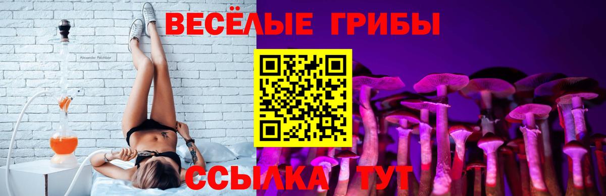 Галлюциногенные грибы GOLDEN TEACHER  Псилоцибиновые грибы мухоморы  Вход с VPN  хочу наркоту  Амурск 
